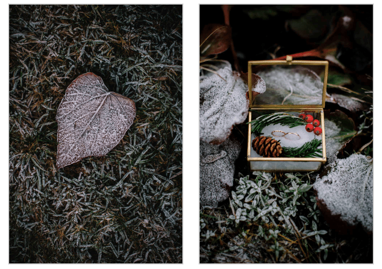 mariage alliances noel